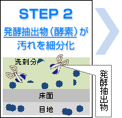 STEP 2
発酵抽出物（酵素）が汚れを細分化
