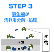 STEP 3
微生物が汚れを分解・処理