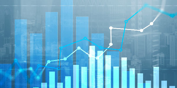 Shareholder / Stock Information