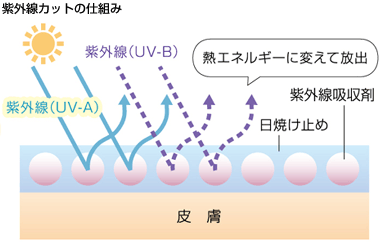 紫外線カットの仕組み（図）