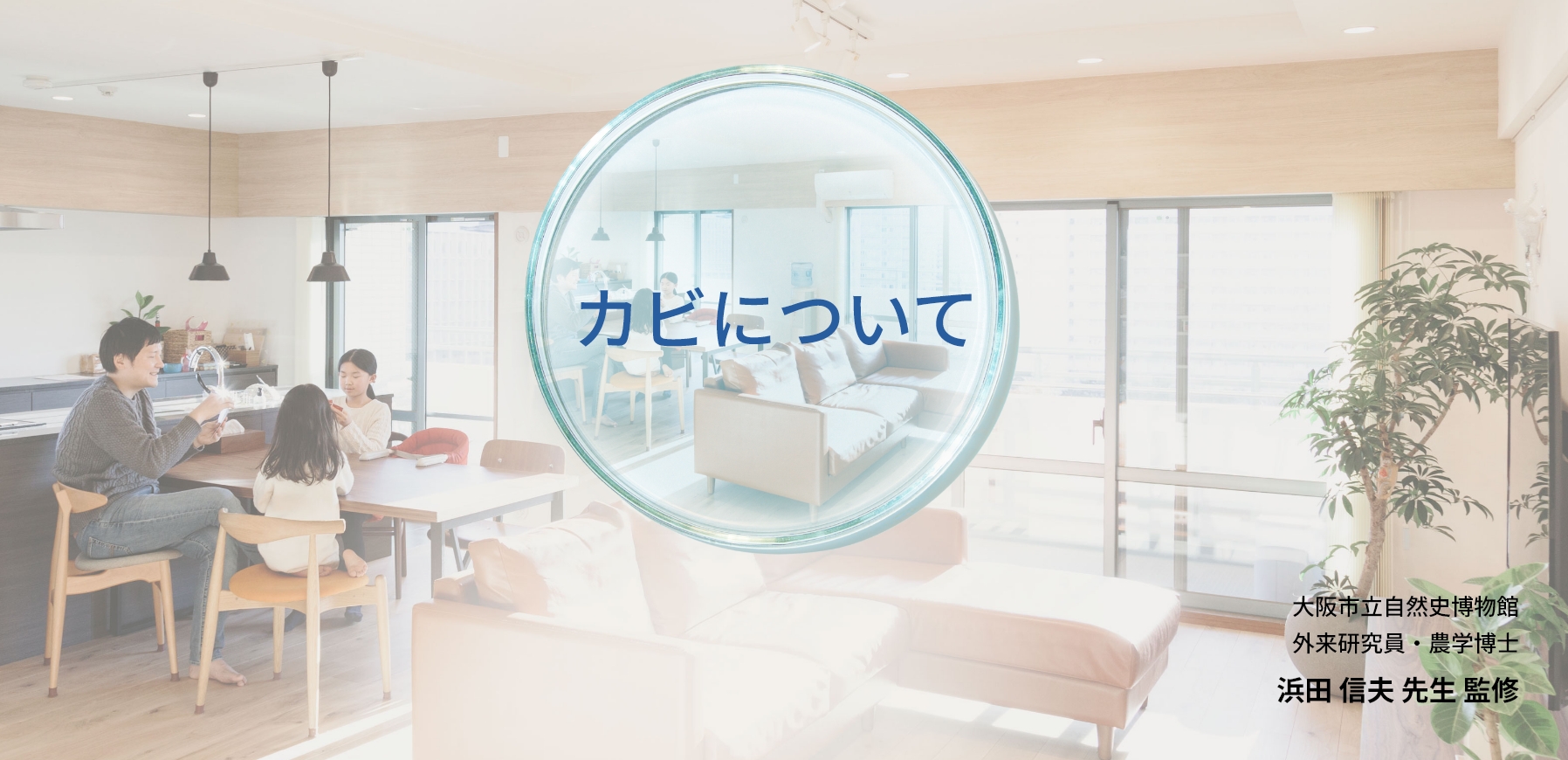 カビについて