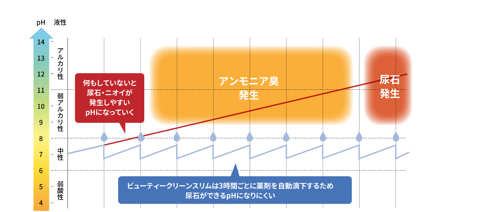 ビューティクリーンスリムが尿石の発生を抑制するメカニズム