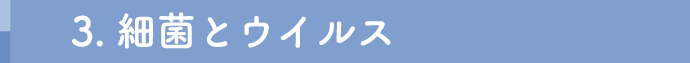 3. 細菌とウイルス