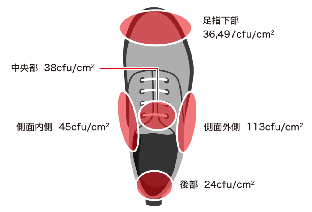 （図6）靴の中のカビ数