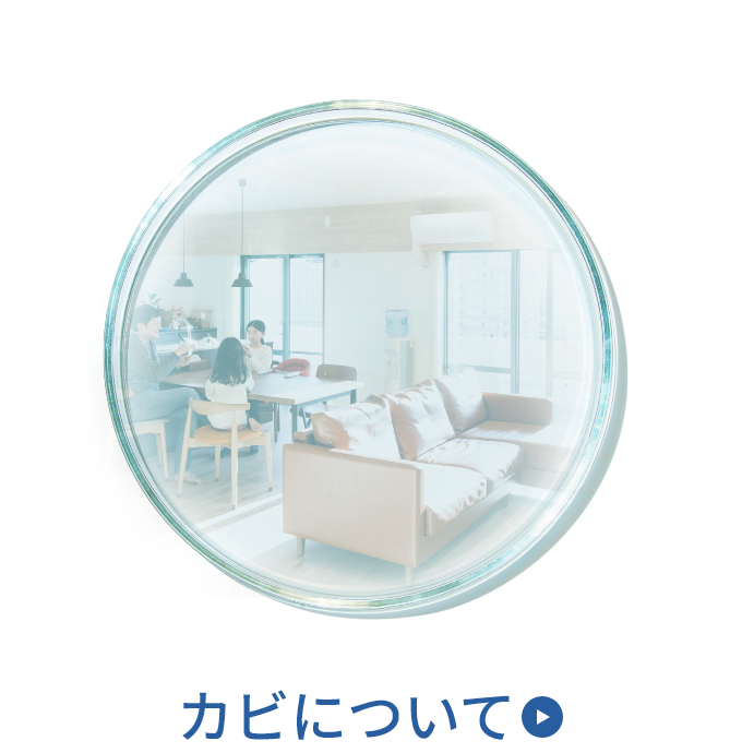 カビについて