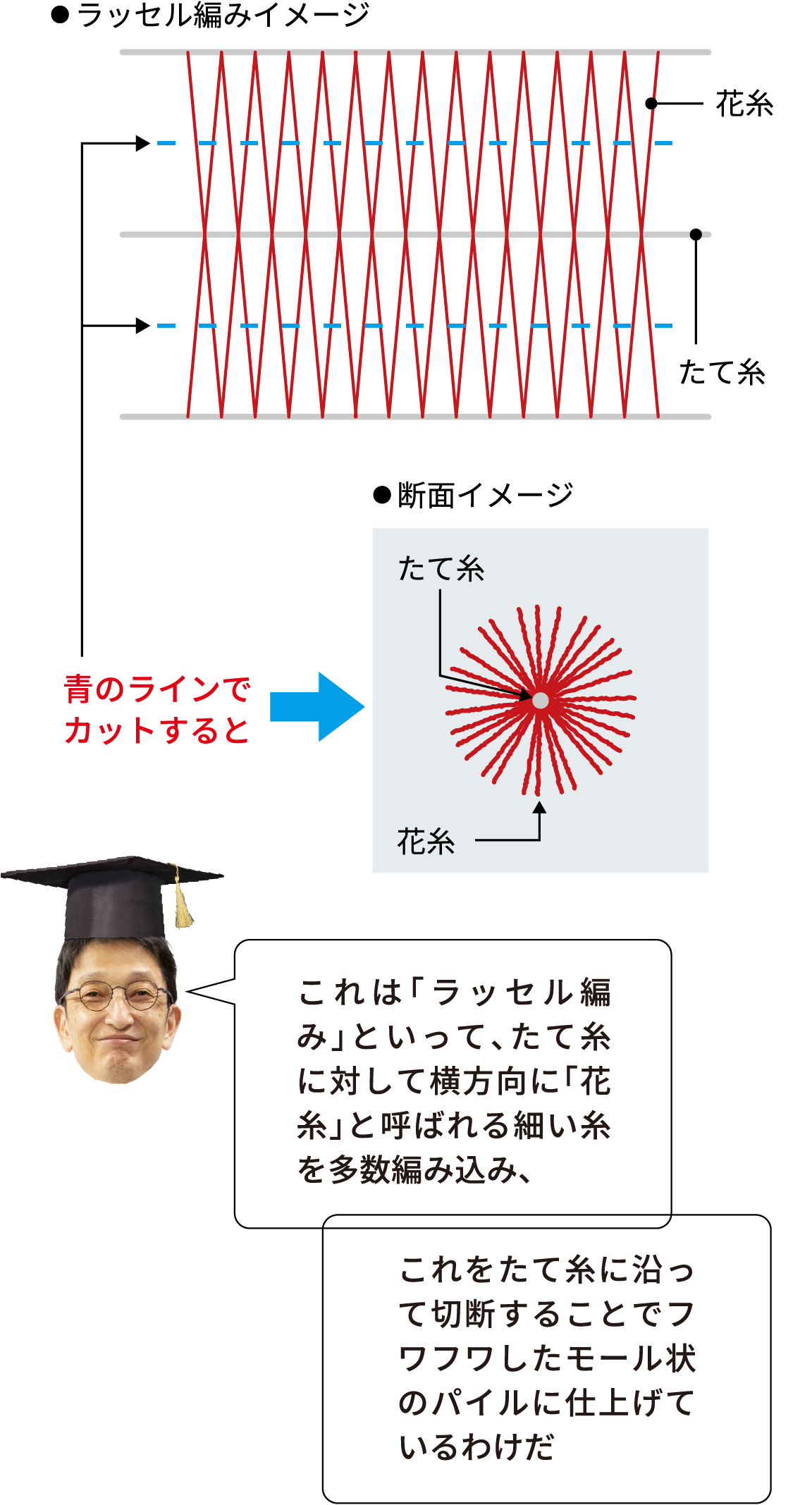 ラッセル編みイメージ図 断面イメージ 「これは「ラッセル編み」といって、たて糸に対して横方向に「花糸」と呼ばれる細い糸を多数編み込み、」「これをたて糸に沿って切断することでフワフワしたモール状のパイルに仕上げているわけだ」