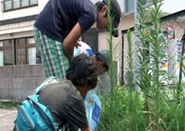 「米子がいな祭り2013」 米子市　米子駅前通り