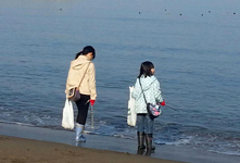 青森県での当日の様子